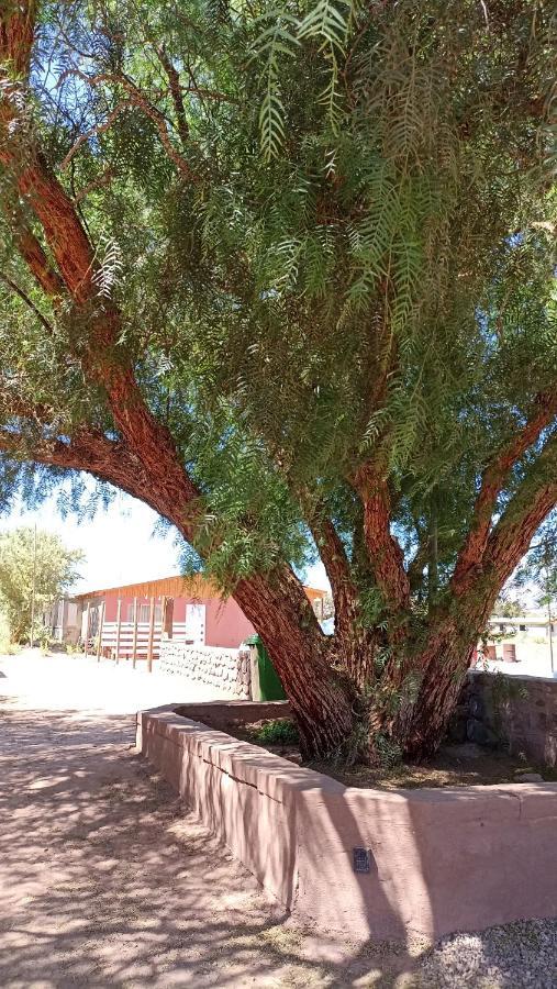 Lodge Don Felix San Pedro de Atacama Exterior foto